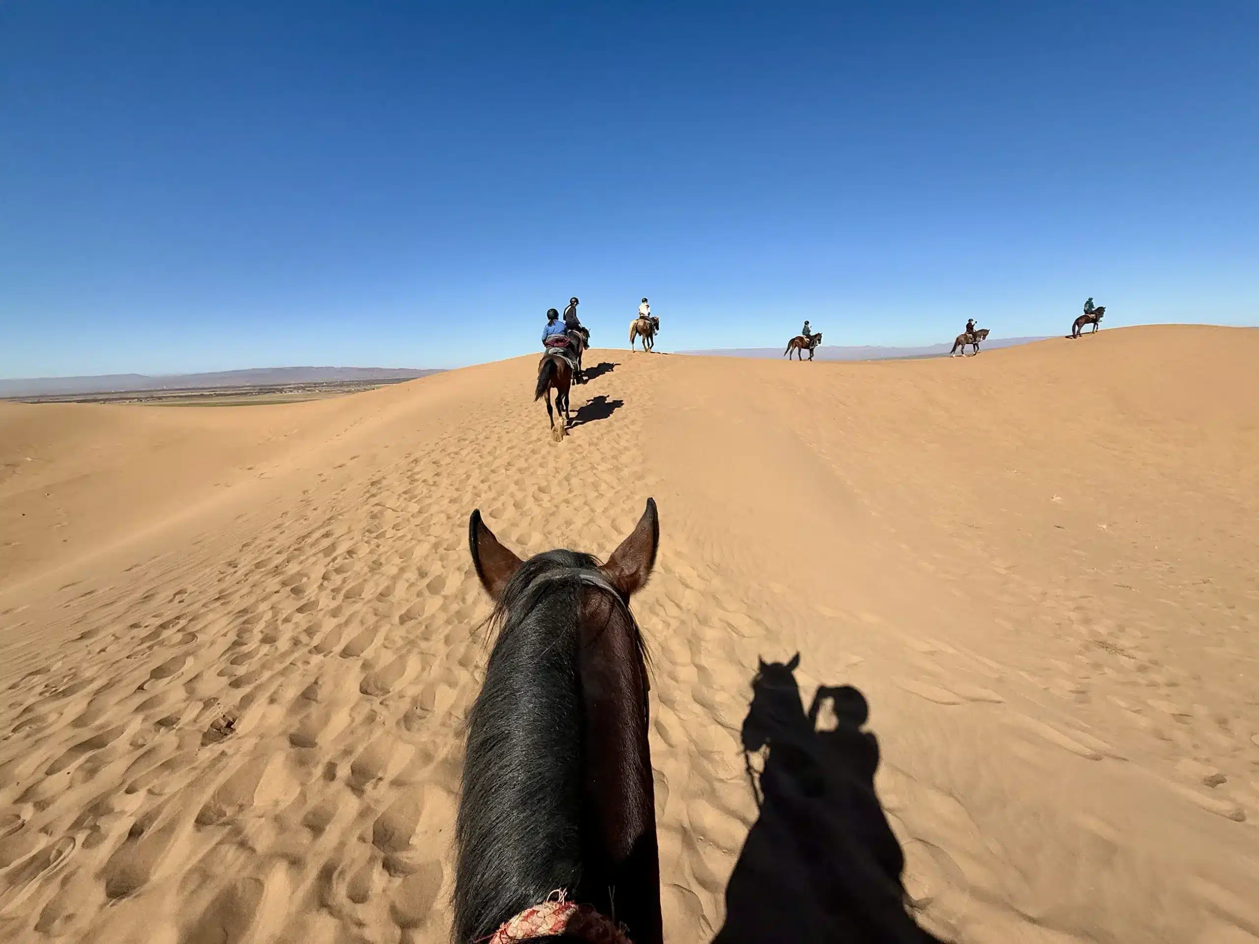 Randonnée à cheval au Maroc